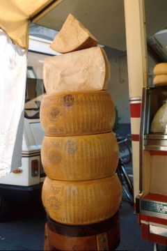 Parmesan, Parma, Emilia Romagna, Nord-Italia, Italia 