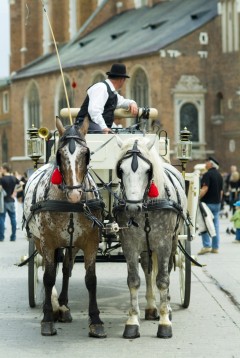 Krakow, Unesco Verdensarv, Sukiennice, Basilica Santa Maria, gamlebyen Stare Miasto, historisk bydel, middelalder, markedsplass Rynek Glowny, Wawelborgen, Kazimierz, Sør-Polen, Polen