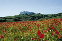 Monte Titano, San Marino, Emilia Romagna og Marche og Abruzzo, Midt,-Italia, Italia