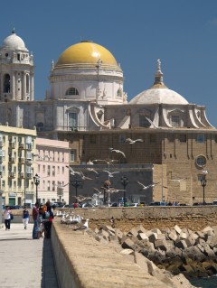 Katedral, Cadiz, historisk bydel, romersk teater, gamleby, Casco Antiguo, Andalucia, Spania