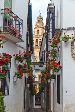  Cordoba, katedral-moskéen La Mezquita, Guadalquivir, Unescos liste over Verdensarven, historisk bydel, gamleby, Andalucia, Spania