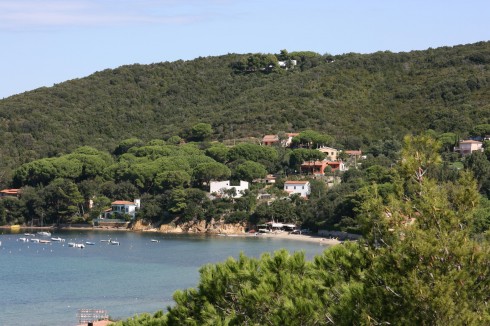 Golfo di Procchio, Elba, Toscana, Midt-Italia, Italia