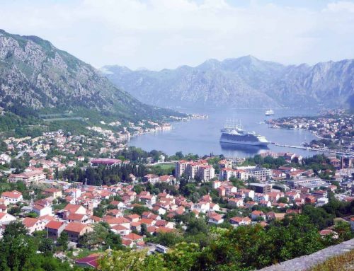 Kotor