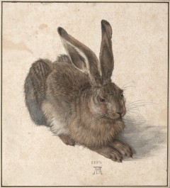 Albertina Museum, Albrecht Dürer, Hare, Wien, Innere Stadt, Unescos liste over Verdensarven, Ober- Nieder-Österreich og Wien, Østerrike