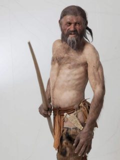 Ötzi, arkeologisk museum, gamlebyen, Altstadt, Bolzano, Bozen, Alto Adige, Tyrol, Süd-Tirol, Nord-Italia, Italia