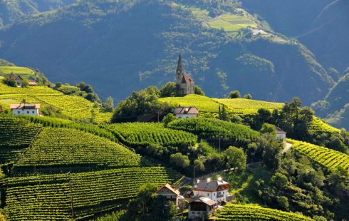 St Georgen, vinmarker, Bolzano, Alto Adige, Tyrol, Nord-Italia, Italia