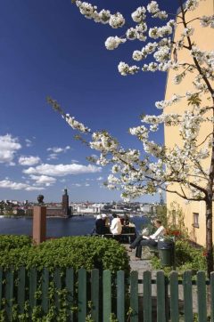 Stockholm, Gamla Stan, Södermalm, gamlebyen, Unesco Verdensarv, Sverige