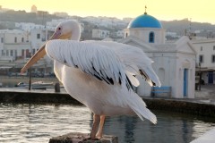 Mykonos, Kykladene, de øvrige øyene, Hellas