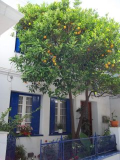 Skopelos, Skopelos by, Øyene, Sporadene, Hellas