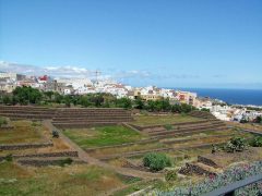 Tenerife, Guimar, Thor Heyerdahl, Kanariøyene, Spania