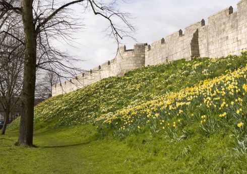 York, Yorkshire, middelalder, katedral, The York Minster, vikinger, vikingtid, romere, romertid, Konstantin den Store, angelsaksere, England, Storbritannia