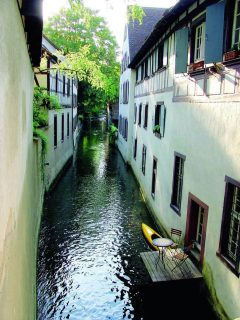 Basel, Rhinen, romertid, middelalder, kulturseverdigheter, gamlebyen, marktplatz, Sveits