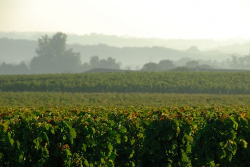 St Émilion, Saint Emilion, La Jurade, vin, Unescos liste over Verdensarven, romertid, middelalder, Monolittkirken, Bordeaux, Pomerol, Fronsac, Bordeaux, Vest-Frankrike