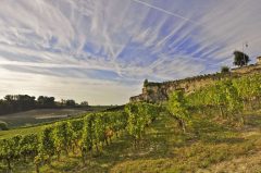 St Émilion, Saint Emilion, La Jurade, vin, Unescos liste over Verdensarven, romertid, middelalder, Monolittkirken, Bordeaux, Pomerol, Fronsac, Bordeaux, Vest-Frankrike