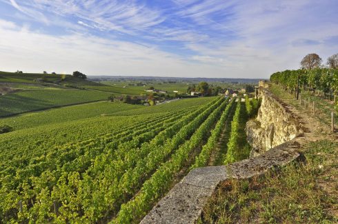 St Émilion, Saint Emilion, La Jurade, vin, Unescos liste over Verdensarven, romertid, middelalder, Monolittkirken, Bordeaux, Pomerol, Fronsac, Bordeaux, Vest-Frankrike