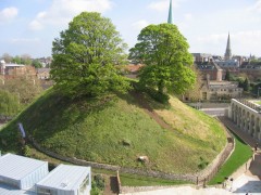 Oxford, Oxford University, Oxfordshire, Britain, England, College, Ashmolean Museum, High Street, Broad Street, Magdalen College, Christ Church, Broad Walk, Merton College, Merton Street, Radcliffe Square, Radcliffe Camera, All Souls College, Bodleian Library, Divinity School, Old School Quadrangle, Oxford Castle, Balliol College, Trinity College, St Edmund Hall, St Mary the Virgin, The Bear, Eagle and Child, Lamb and Flag