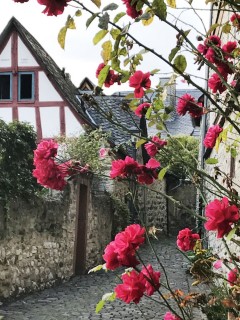 Limburg an der Lahn, Domberg, Dom St Georg, Limburger Dom, Hessen, gotisk, romansk, middelalder, bindingsverk, Fischmarkt, Rossmarkt, Bischofsplatz, Plötze, Fachwerk-Strasse